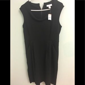 LOFT little black dress
